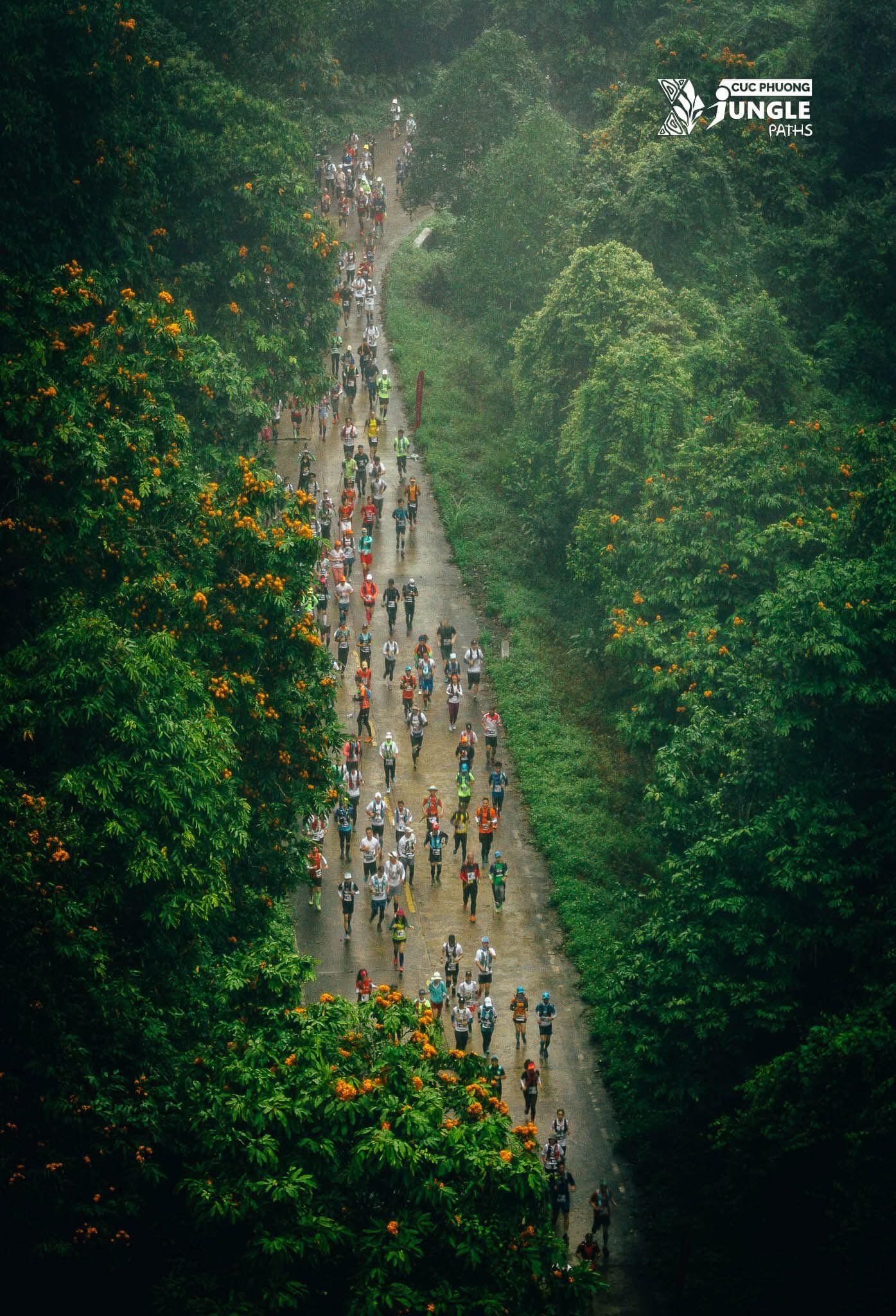 cúc phương jungle paths