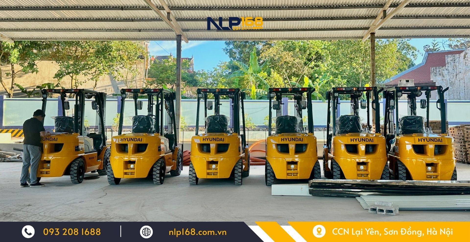 xe nâng dầu Hyundai 3-3.5 tấn của NLP168.jpg
